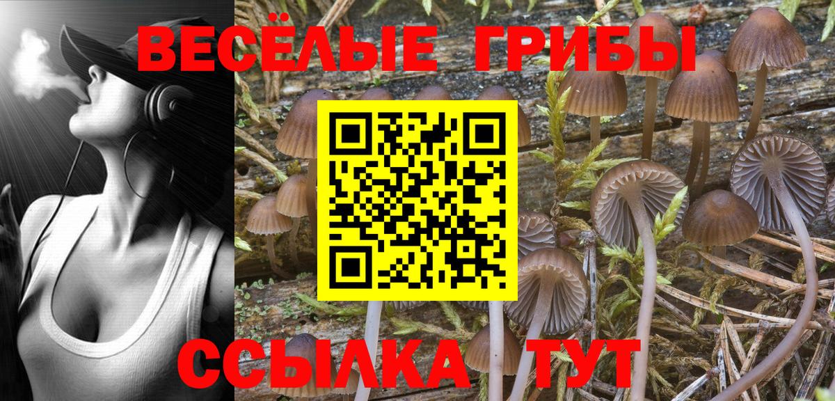 Псилоцибиновые грибы ЛСД Лыткарино